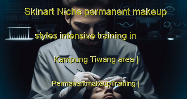 Skinart Niche permanent makeup styles intensive training in Kampung Tiwang area | PermanentmakeupTraining | PermanentmakeupClasses | SkinartTraining-Malaysia